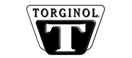 torginal logo