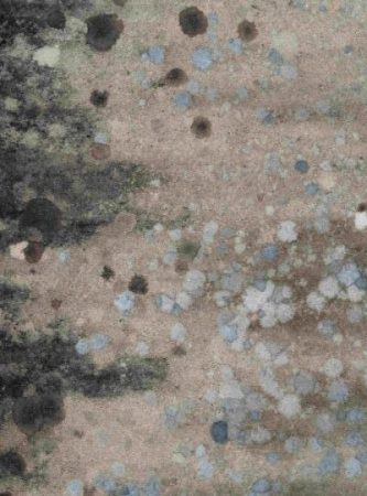 a floor with mold